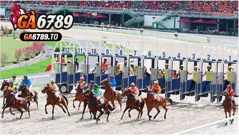 Tìm hiểu về các loại cá cược đua ngựa