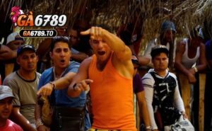 Giống Đá Gà Chọi Cuba Ga6789 là gì, một số đặc điểm nhận biết về giống gà này