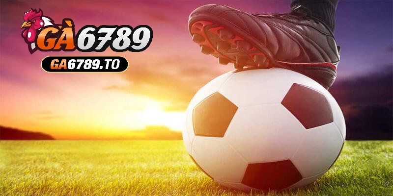 Tìm hiểu về cách đọc của kèo chấp nửa trái là sao