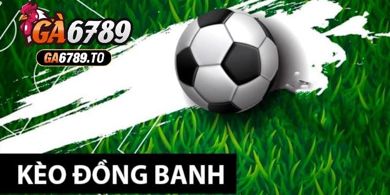 Kèo Đồng Banh Là Gì? Hướng Dẫn Cược Tinh Tế Cho Năm 2025 4 Kinh nghiệm soi kèo đồng banh là gì đỉnh cao nhất