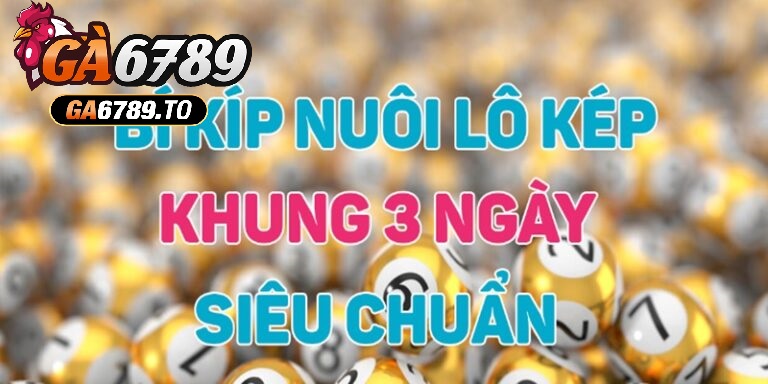Các loại lô kép phổ biến được sử dụng thường xuyên hiện nay