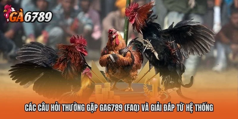 Các câu hỏi thường gặp GA6789 (FAQ) và giải đáp từ hệ thống