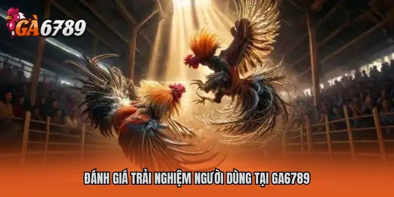 Đánh giá trải nghiệm người dùng tại GA6789